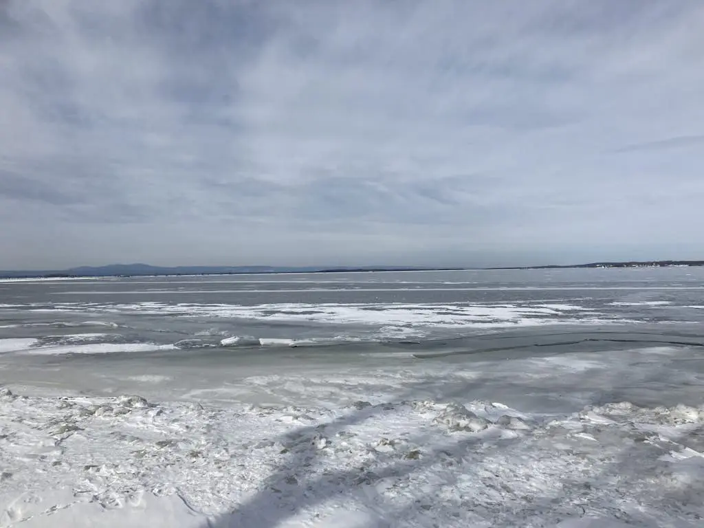 Life on the Lake