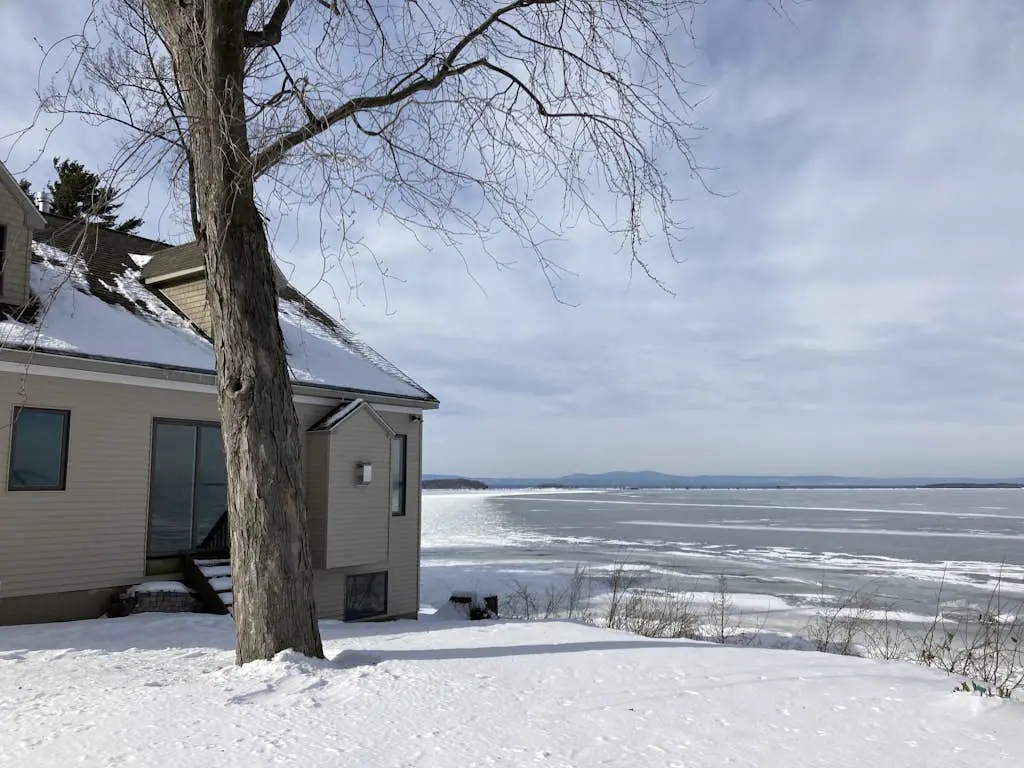 Life on the Lake