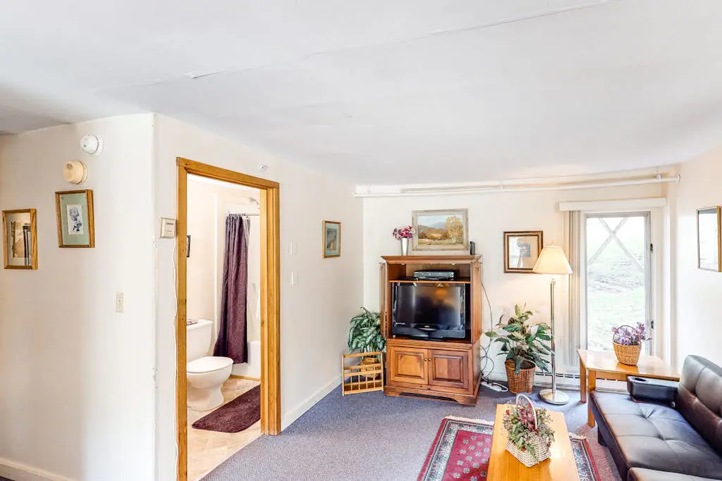 Mountainside Resort A101