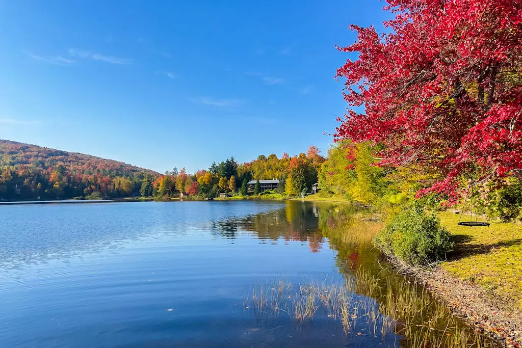 Serenity by the lake
