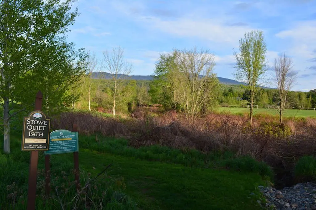 Mountainside Resort F302