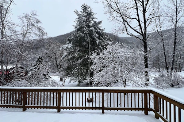 Comfortable dog-friendly home w/ pond view, deck, gas grill, wifi, TVs, kitchen