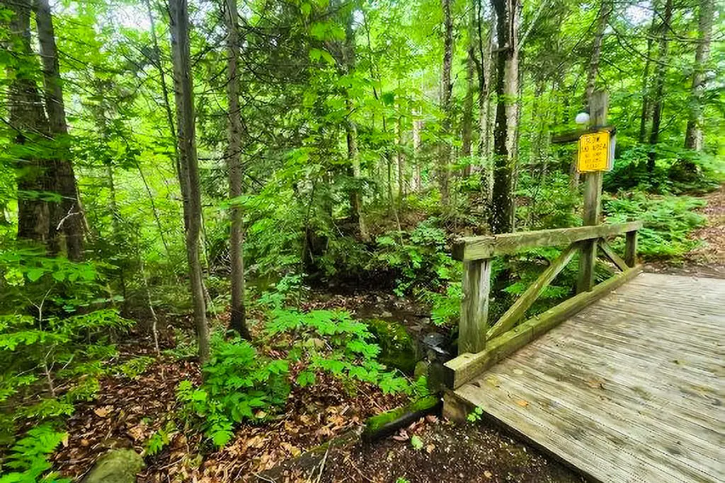 Trail Creek 33