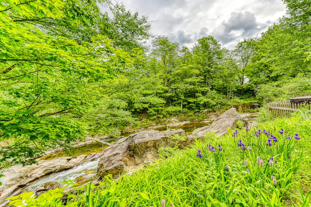 Sugarbush River Home