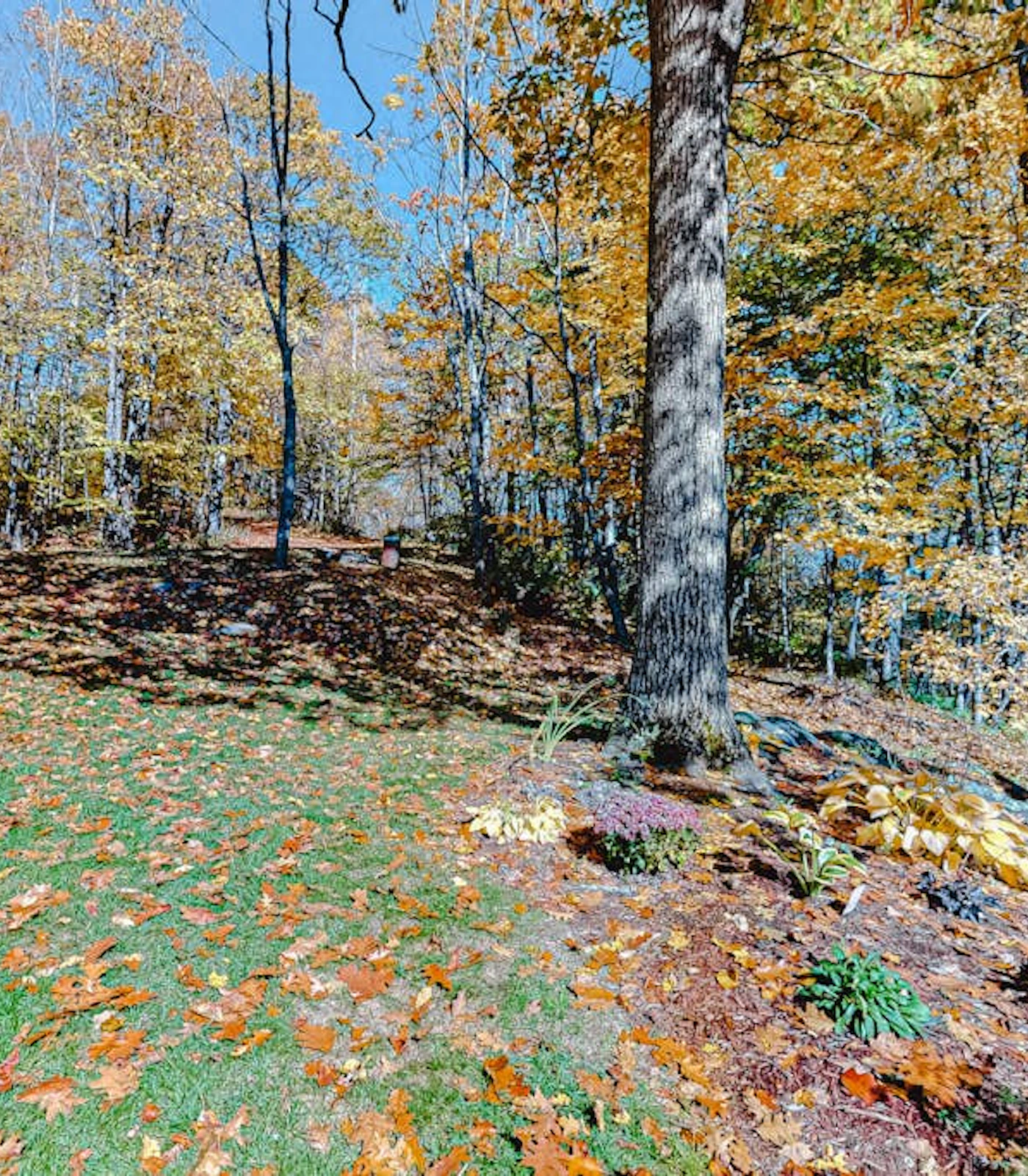 Mountain Views, Walk to Ski Hill - Kingswood 1A
