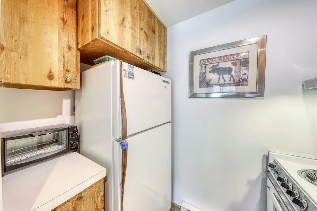 Cozy Mountainside Condo
