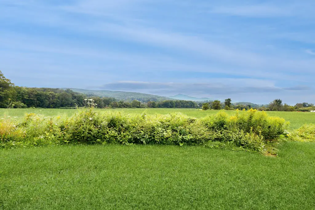 Historic Valley View