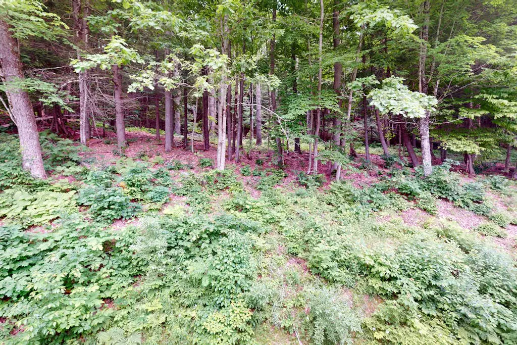Quechee Hollow 2C