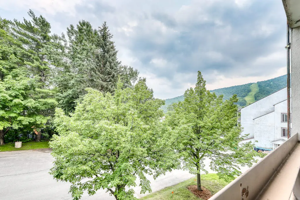 Mountainside 17