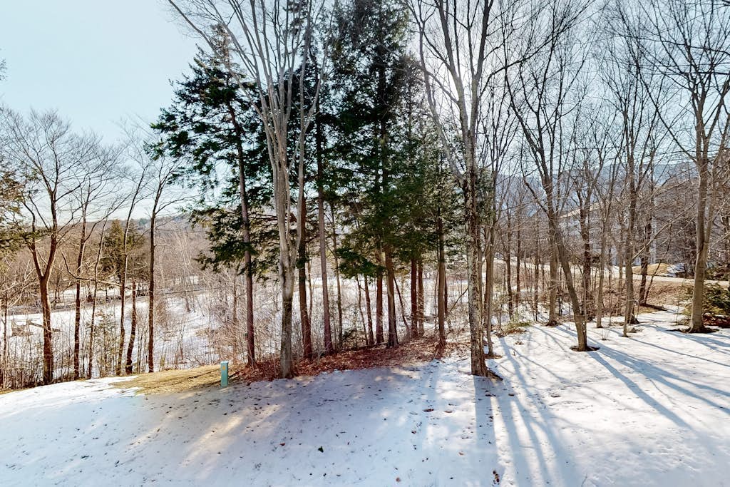 Charming mountainside condo with fireplace, skiing, balcony, & washer/dryer