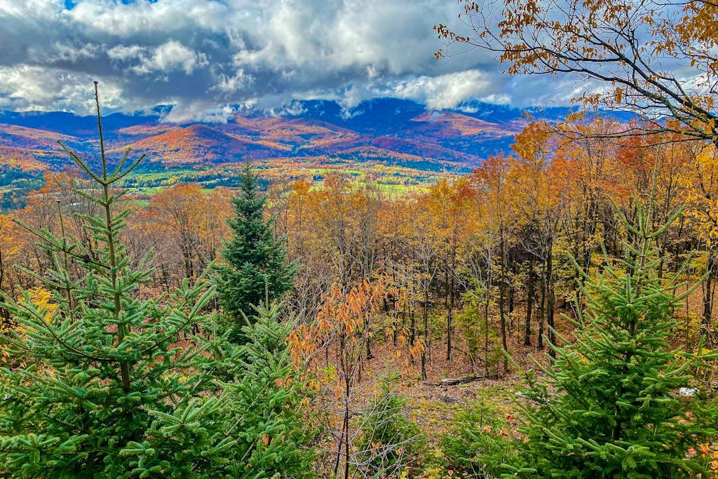 Quintessential wilderness retreat with mtn views & kayaks - dog-friendly