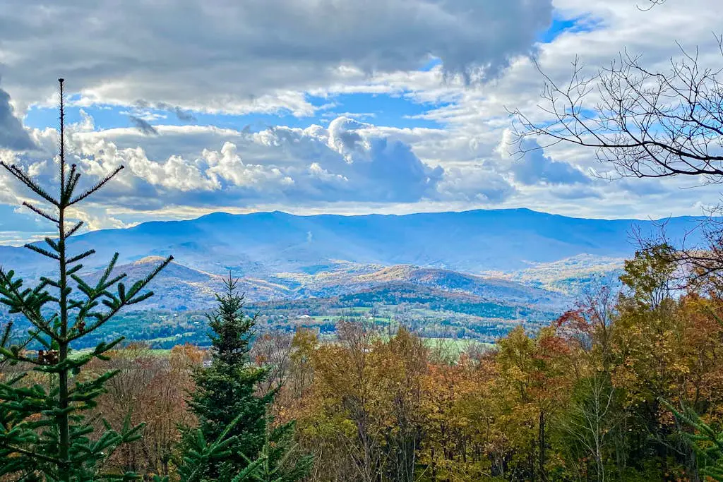Scenic Sourbush