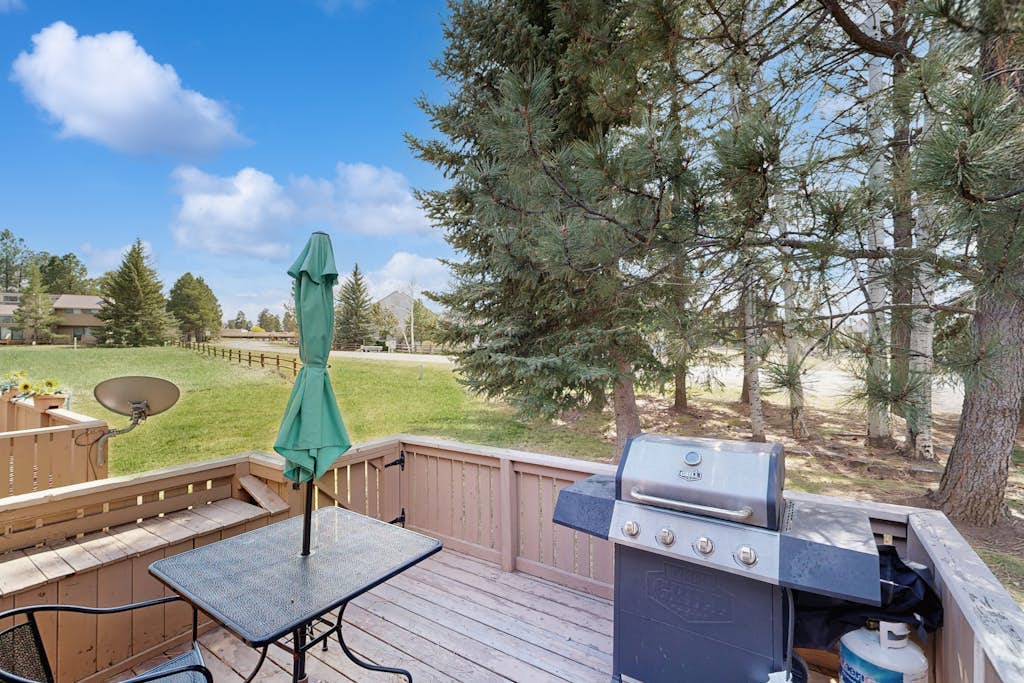 Dog-friendly condo w/fireplace close to lakes, Wolf Creek and Hot Springs
