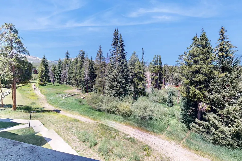 Pine Ridge 02C