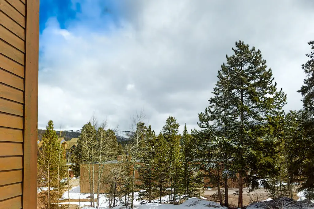Pine Ridge 03C