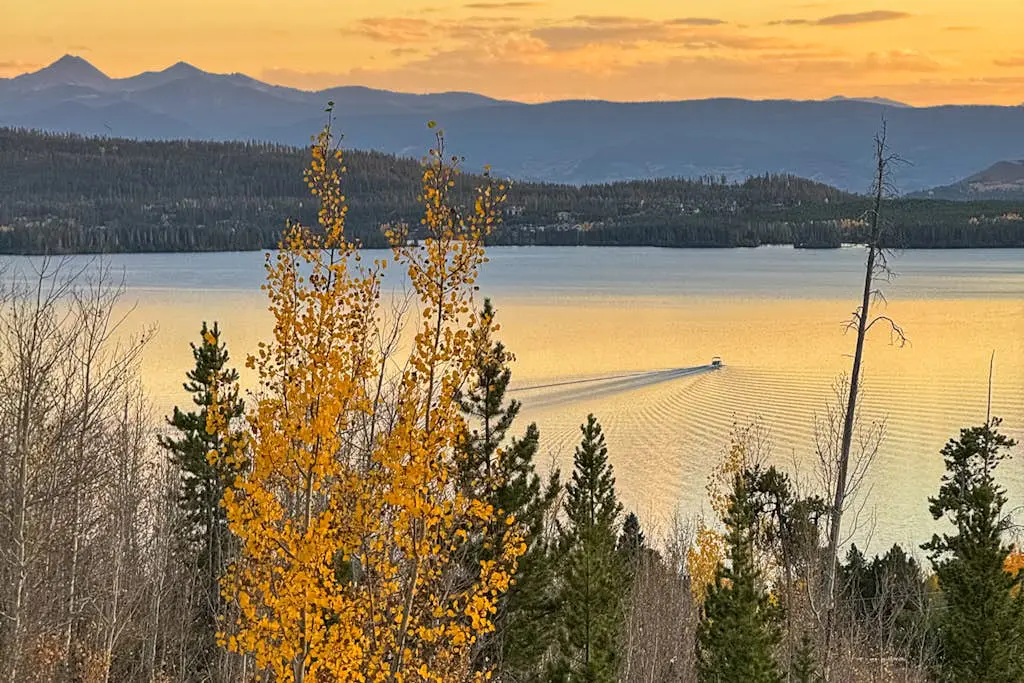 The Golden Moose Chalet