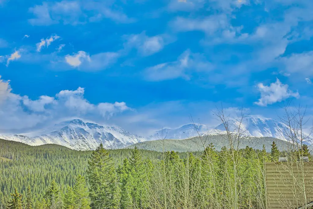 Snowblaze Condominiums E103