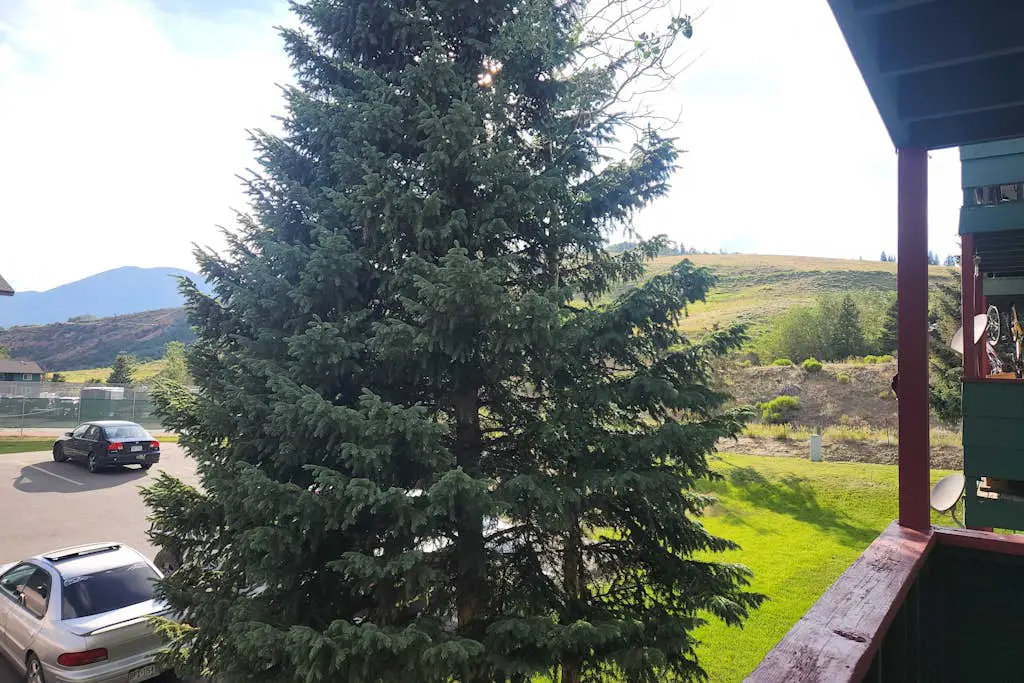 Cozy Colorado Condo