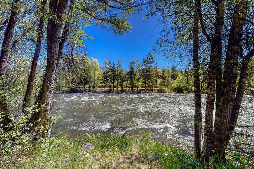 Blue River Grove