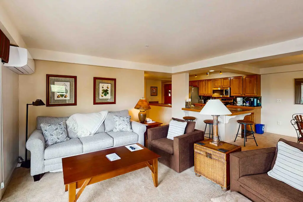 Torian Plum Plaza 403
