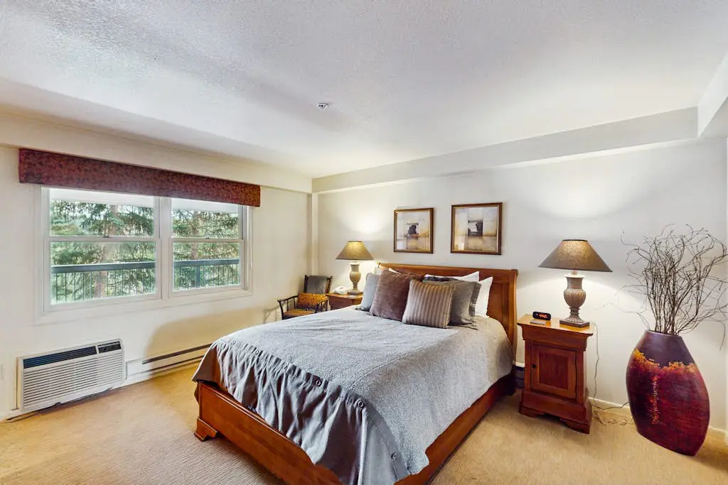 Torian Plum Plaza 403