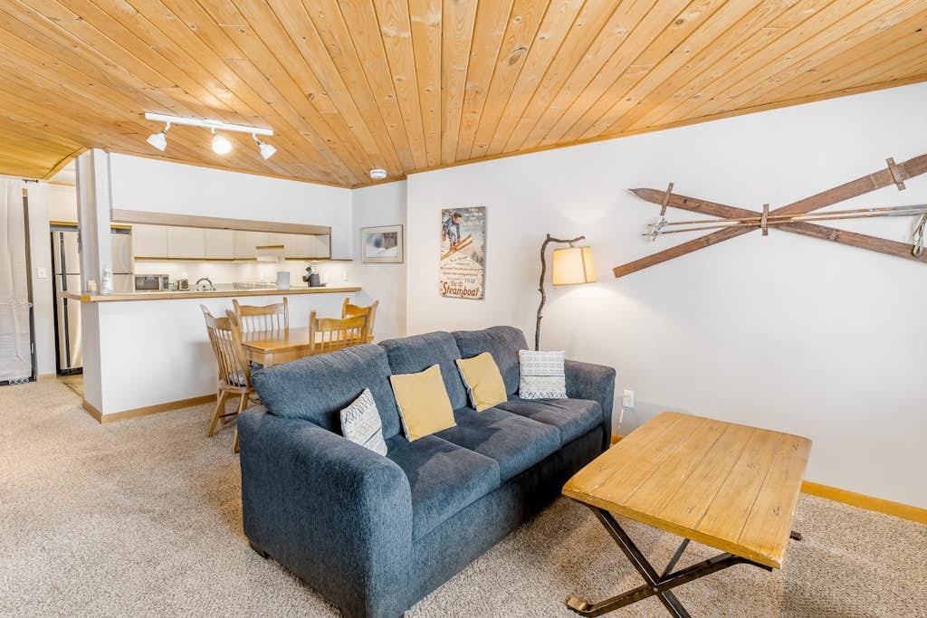 Ski-view condo with a wood fireplace & hot tub - walk to the gondola