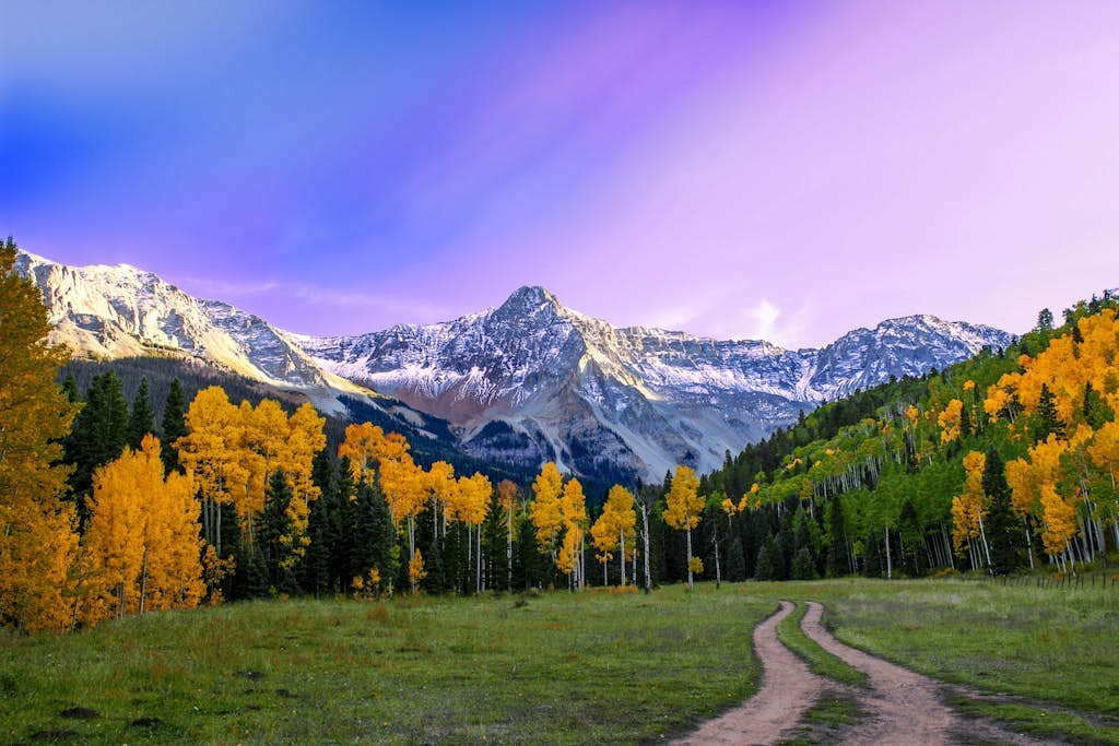 Alpine ski-in/out condo - walk to Mountain Village