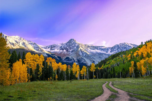 Alpine ski-in/out condo - walk to Mountain Village