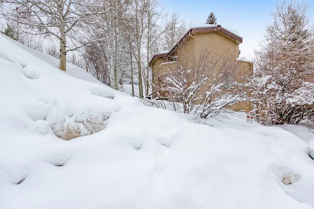 Alpine Serenity Haven