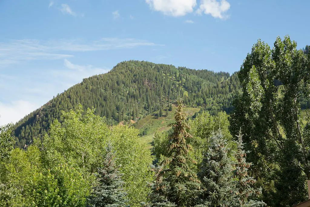 Aspen Mountain Lodge 311