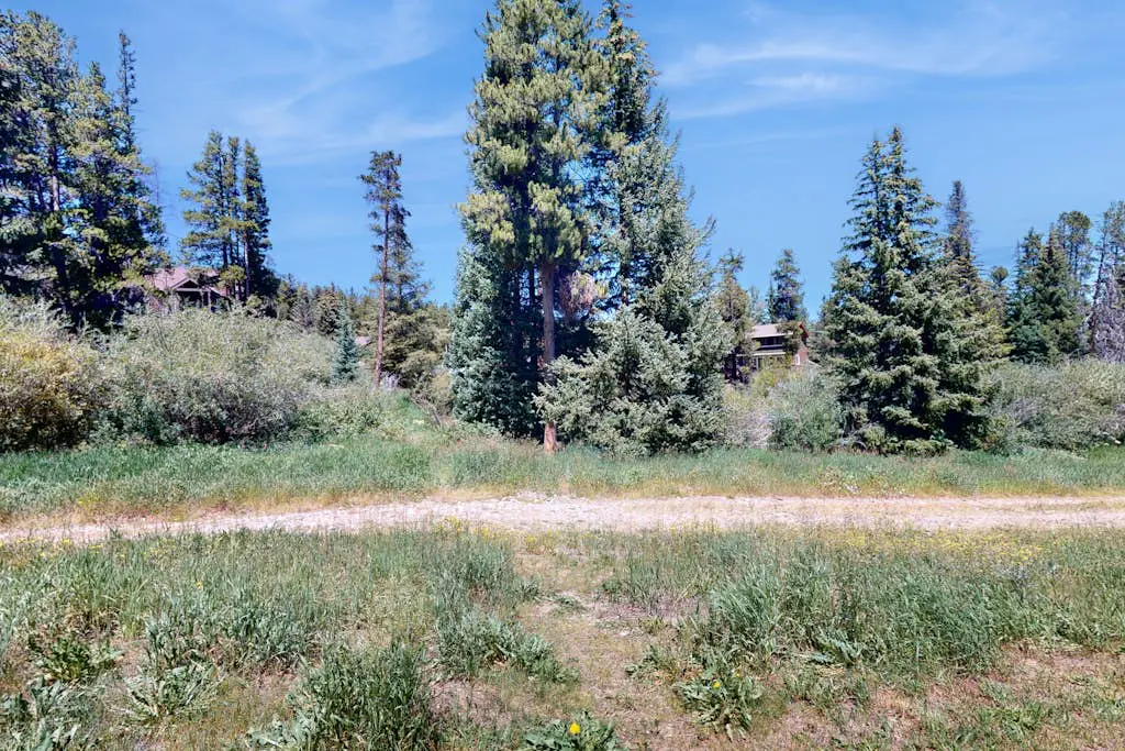 Pine Ridge 02A