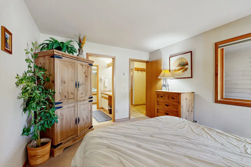 Ski Run Condominiums 203