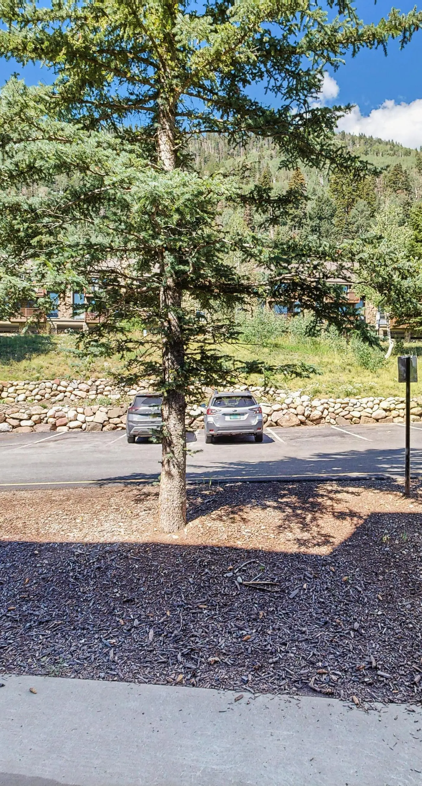 Whispering Pines #306