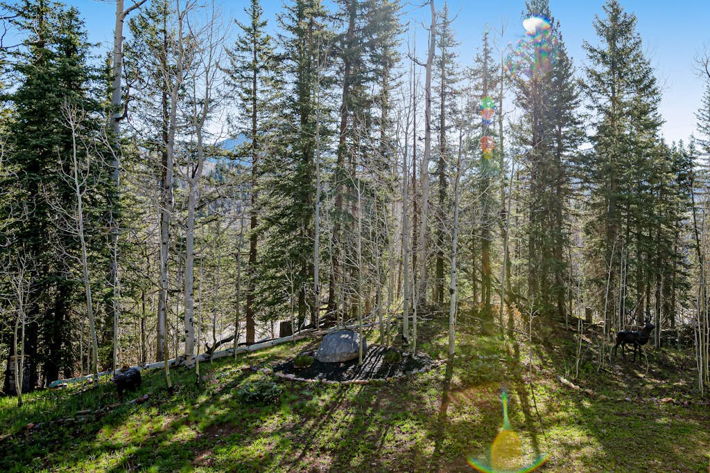 Perfect perch near the mountain with great view, fireplace, balcony & WiFi