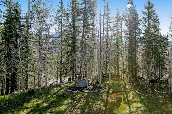 Perfect perch near the mountain with great view, fireplace, balcony & WiFi