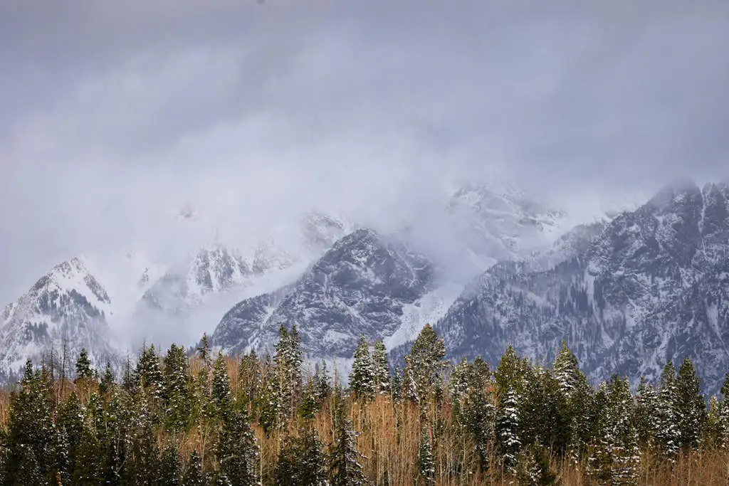 The Mountain Bliss