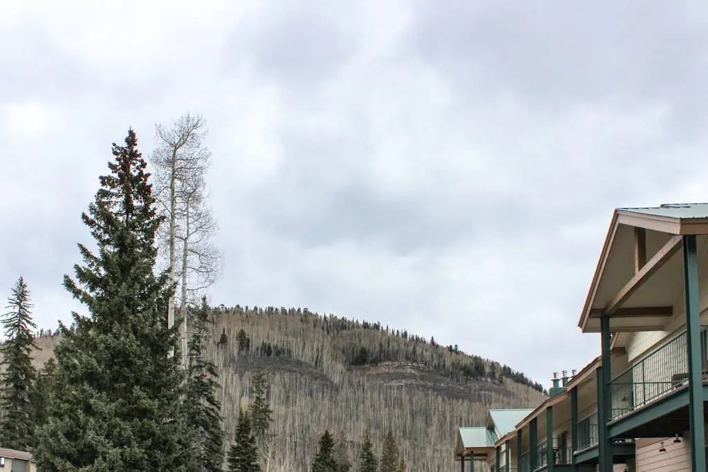 Purgatory Townhome 153