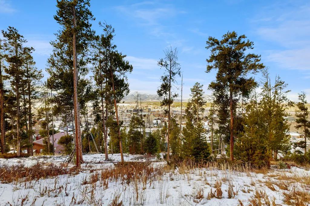 Wapiti Townhouse 3