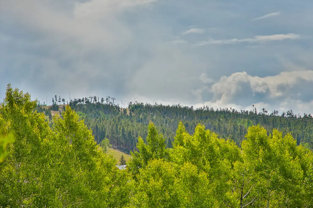 Kicking Horse Lodges 3-202