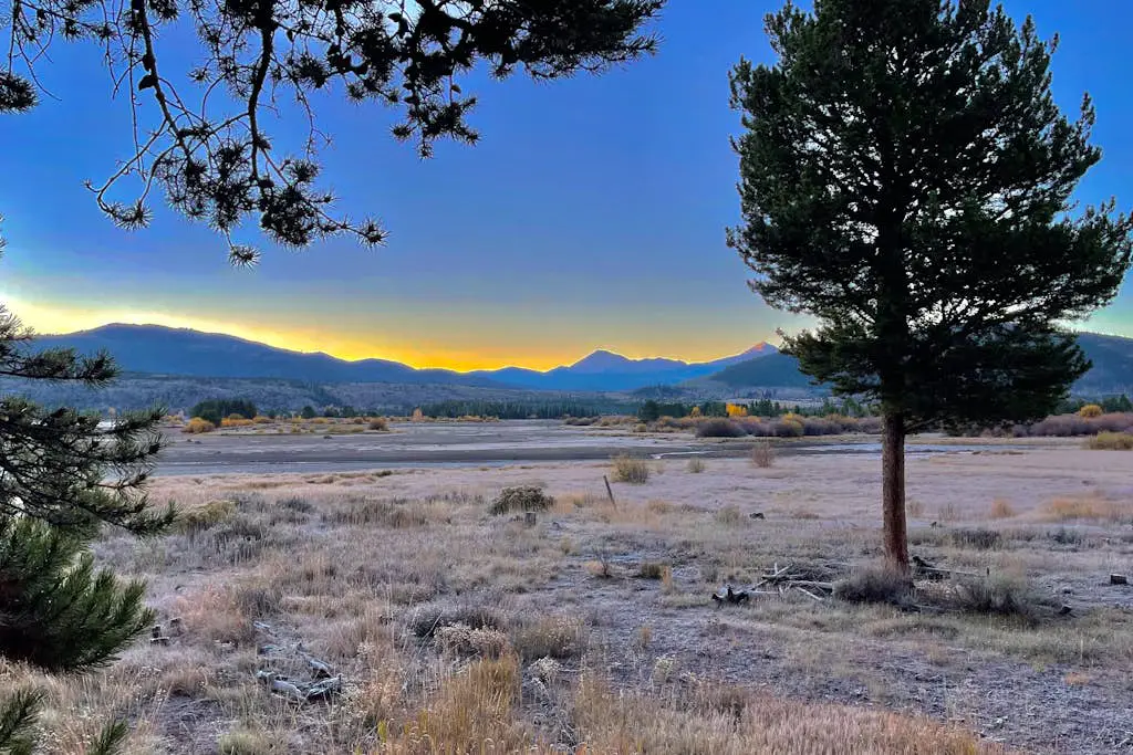 Mountain Meadows 302