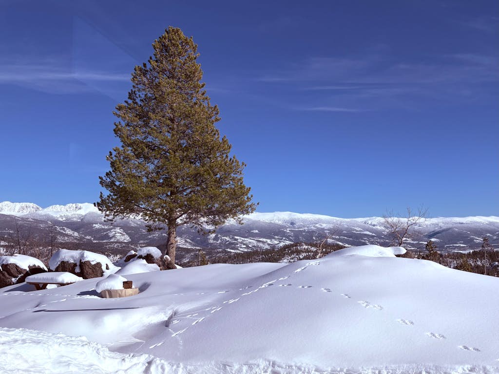 Modern off grid cabin with stocked kitchen & private mountain view- dog friendly