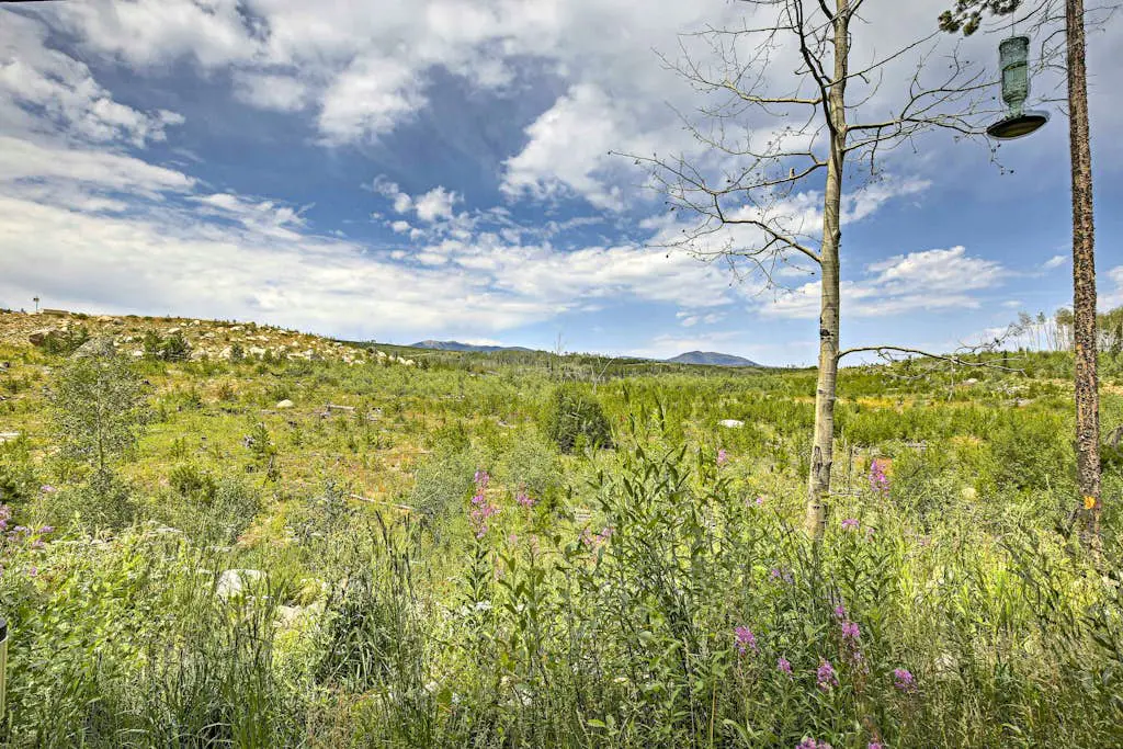Trailside Tranquility