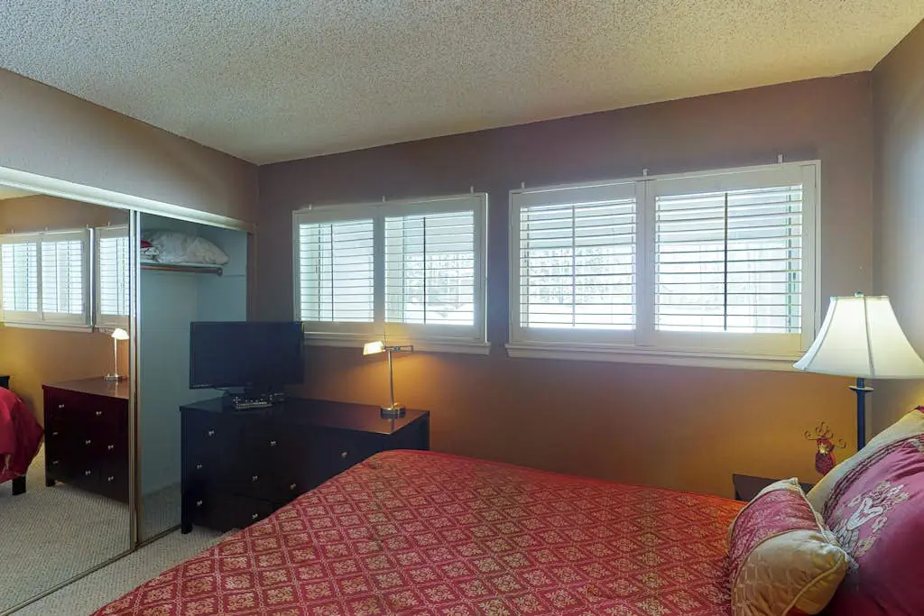 Pines 4013