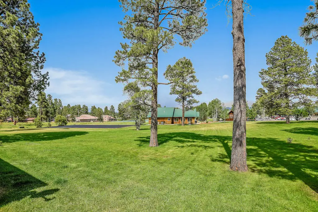 Pines 4013