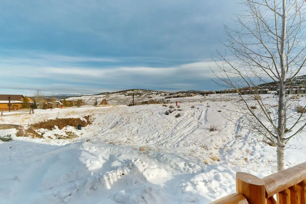 Sagebrush Cabin