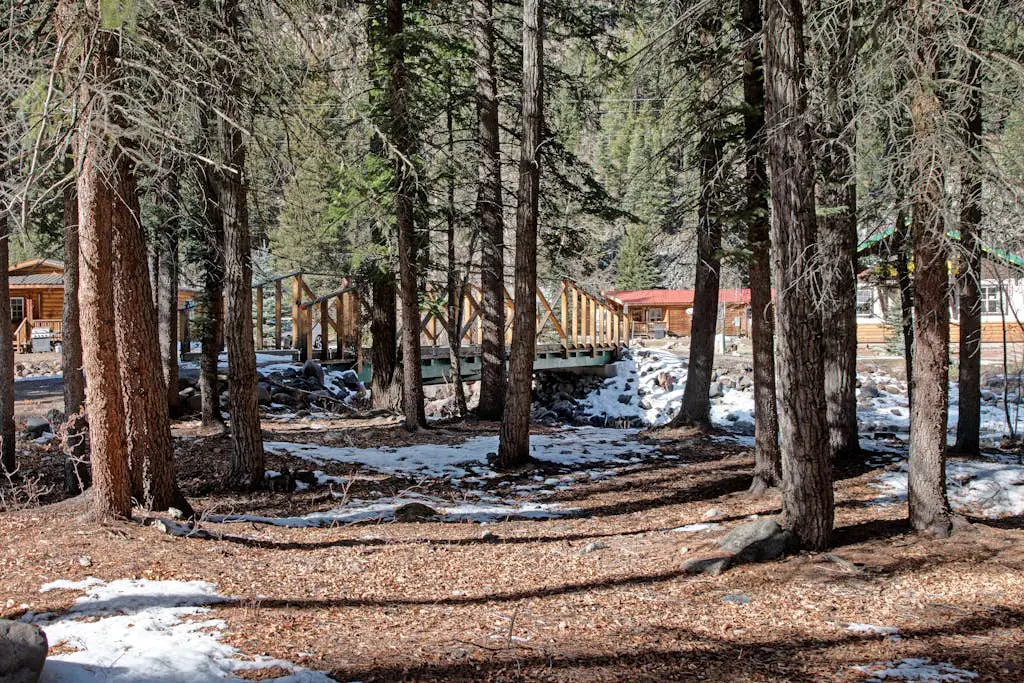 Sequoia Cabin