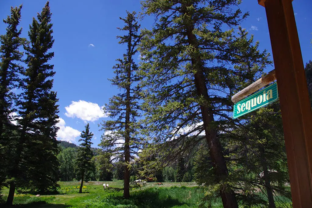 Sequoia Cabin