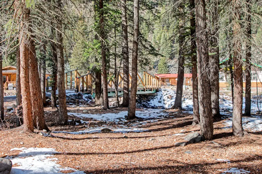 Coyote Cabin