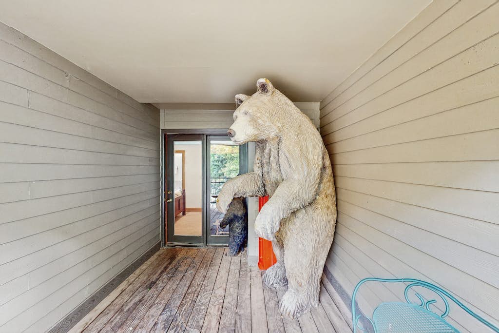 Stunning ski-in/out condo with balcony, fireplace, hot tub, & mountain views