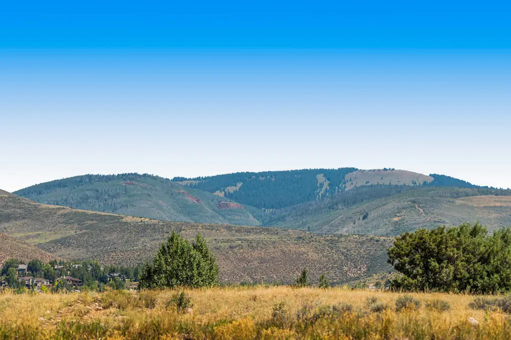 Newly Remodeled Mountain Retreat